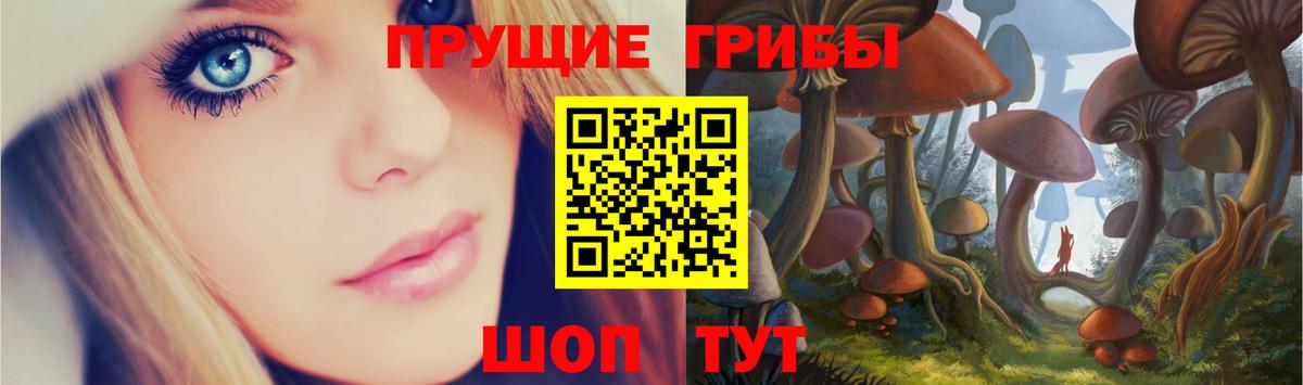 Галлюциногенные грибы MAGIC MUSHROOMS  Вход с VPN  Озёрск  Псилоцибиновые грибы Magic Shrooms 